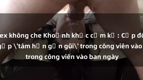 sex không che Khoảnh khắc cấm kỵ: Cặp đôi bị bắt gặp 'tâm hồn gần gũi' trong công viên vào ban ngày